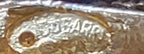 Vintage Dubarry Fifth Ave Bright Shiny Gold Tone Swan Textured Pin